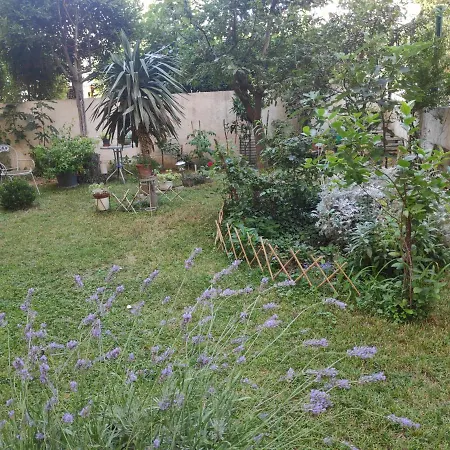 Apartment Spacious With Big Garden Near